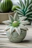 Placeholder: Create a soothing image of a mini concrete succulent planter with a coastal retreat theme, shaped like a seashell or starfish, and featuring a textured finish reminiscent of weathered seaside elements."