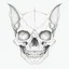 Placeholder: A pencil-drawn cat's head on a transparent background, but half of the head is his skull