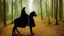 Placeholder: Dark robed wizard on a horse in the forest