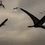 Placeholder:  pterosaurs flying in the sky