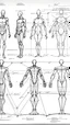 Placeholder: como aprender a dibujar la figura humana en forma esquemática con las proporciones descriptas