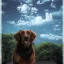 Placeholder: Portrait of a dog in sky , UHD, 64K --v 4