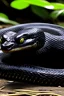 Placeholder: Imagine a black snake that was very, very big.