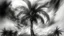 Placeholder: A black and white charcoal sketch with intricate details, showcasing the metaphor of the palm tree standing tall against a stormy sky, representing perseverance and endurance