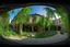 Placeholder: A panoramic view of the Library Gardens, where medieval fantasy meets ancient nature. Winding stone paths meander beneath towering centuries-old trees whose massive canopies create a living cathedral ceiling, casting intricate shadow patterns below. Hanging vines and multicolored flowers cascade from branches, while climbing plants embrace the ancient trunks. Natural sitting areas are formed by time-smoothed boulders and fallen tree trunks, polished by centuries of readers. The library itself em