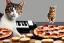 Placeholder: photo of a cat playing piano and guitar and pizza