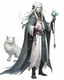 Placeholder: a young High Elf frost Wizard with long wiry hair, wearing a black trimmed white nobleman's robe and frost ornaments on clothes, with a small weasel on his shoulder