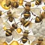 Placeholder: Happiness grandma and grandpa are healthy in a planet of honey stingless bee, realistic