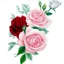 Placeholder: style INK, roses high contrast