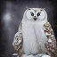 Placeholder: snow OWL