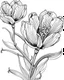 Placeholder: real massive Freesia flower coloring page