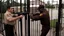 Placeholder: UPS delivery man at gate with angry man pointing gun at him