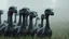 Placeholder: A surreal herd of gentle herbivorous creatures with long necks, rounded bodies and dark gray-green skin, standing in a misty grassy landscape in soft rain. Each creature has exactly one large central eye and a separate small, soft herbivore mouth below it — no teeth, no fangs. Curious, slightly uncanny expressions, photorealistic, cinematic atmosphere, realistic skin texture.