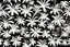 Placeholder: image vectoriel motif fleurs de palmiers pleine design harmonieux répété les fleurs dans toute les direction pour remplir un rectangle abstrait naturel noir et blanc pochoir