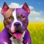 Placeholder: picture of a happy purple pit bull in a field, picture of the month