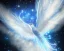 Placeholder: a detailed illustration of a phoenix with shiny blue wings and long glowing sparkly body, luminescent body, glinting spread wings, realistic, soft and smooth glowing wings, soft feathers, macro lens, sharp focus, meticulously detailed, soft studio lighting, smooth blurred gradient background, twinkly eye, 64k, kind