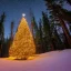 Placeholder: Christmas tree in the forest at midnight under the stars