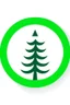 Placeholder: vector icon of a spruce tree