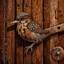 Placeholder: Small brown wren with intricate feathers perched on a weathered barn door, the door is cracked and rotting with a rusting handle, intricate woodgrain patterns with peeling paint, rusted bolts, deep textures, acrylic art, highly detailed