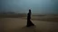 Placeholder: dark and mysterious, An expansive desert with rolling sand dunes, where the heat creates a surreal mirage effect, a single woman of Middle Eastern descent in a flowing dress, squinting into the distance., dark shadows and fog, blurred, neo-expressionism