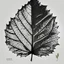 Placeholder: Leaf design