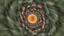 Placeholder: flower vortex