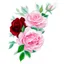 Placeholder: roses high quality