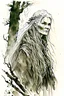 Placeholder: ink wash and watercolor illustration of an ancient grizzled, gnarled female vagabond wanderer, long, grey hair streaked with black, highly detailed facial features, sharp cheekbones. Her eyes are black. She wears weathered roughspun Celtic clothes, emaciated and tall, with pale skin, full body , thigh high leather boots within a forest of massive ancient oak trees in the comic book style of Bill Sienkiewicz and Jean Giraud Moebius , realistic dramatic natural lighting, rich earth tones