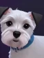 Placeholder: cute miniature schnauzer portrait