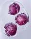 Placeholder: pomegranate are refracted under water