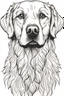 Placeholder: outline art for Golden Retriever coloring pages, white background, Sketch style, only use outline, Mandala style, clean line art, white background, no shadows, and clear and well outlined