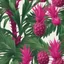 Placeholder: A bush of palm leaves with dragon fruit on a light background to remove