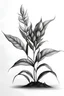 Placeholder: Pencil drawing of animal morphing into plant, minimalistic, black and white, negative space, crisp details