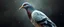 Placeholder: big ass human pigeon wereduck portrait, with background in the style of escher and giger, a chill contrapunctus fugue in the style of fsol, beethoven, goa trance breaks, dancefloor drum and bass,