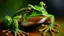 Placeholder: oil painting frog