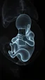 Placeholder: An X ray picture of a unborn baby inside his mother’s belly, holding and staring in an iPhone