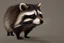 Placeholder: Racoon holding a sword