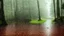 Placeholder: raining in the forest