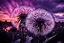 Placeholder: dark purple Sunset with big black Dandelions, , high textures, surreal, weird, white-black colors, silver rain, sharp focus, splash art, intricately detailed, mystic, dark stunning mood