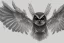 Placeholder: OWL wings