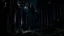 Placeholder: professional photo of a dark deep forest at night dark sky