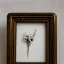 Placeholder: tiny oil painting of single long stem pressed flower, tiny white canvas, tiny white modern frame, melancholy, tender, moody, vintage, delicate arrangement, beautiful composition, etsy, aesthetic layout, plain solid white background