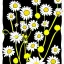 Placeholder: illustration of a bouquet of white daisies, digital illustration, thick black lineart, pastel colors, plain yellow background, minimalist art