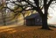 Placeholder: A wooden house in a hilly oak forest in autumn, yellow orange leaves on ground, moist in air, early morning, sun streaks