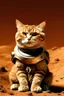 Placeholder: Cat from mars