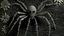 Placeholder: A gray shadow elemental spider designed in Javanese shadow puppets painted by Georges Seurat