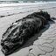 Placeholder: top view, dead gargantuan sea abomination washed up on beach, long shot, dramatic, photographic realism, HD, digital Cannon camera.