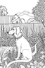 Placeholder: Outline art, no shading, dog full body in the garden, cartoon style, black and white, low detail, --ar 9:11