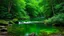 Placeholder: A peaceful scene of a river flowing through a lush, green forest. The Green Water is calm, and the surrounding trees and bushes create a picturesque, natural environmen.