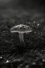 Placeholder: 35mm film still, wide landscape, grisaille photography, award winning art, diffusion, dew on neuron mushroom made out of glass, poster, fine art --s 200 --ar 9:16 --chaos 15 --v 5.2 --style raw